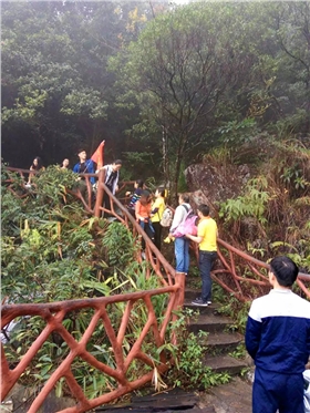 互相攙扶.jpg 互相攙扶.jpg