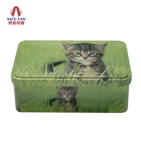 綠色環(huán)保鐵盒包裝 綠色環(huán)保鐵盒包裝