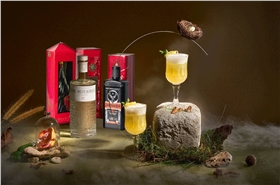 白酒鐵盒包裝 白酒鐵盒包裝