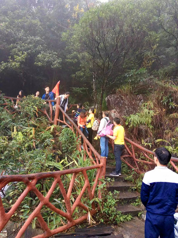 互相攙扶.jpg 互相攙扶.jpg