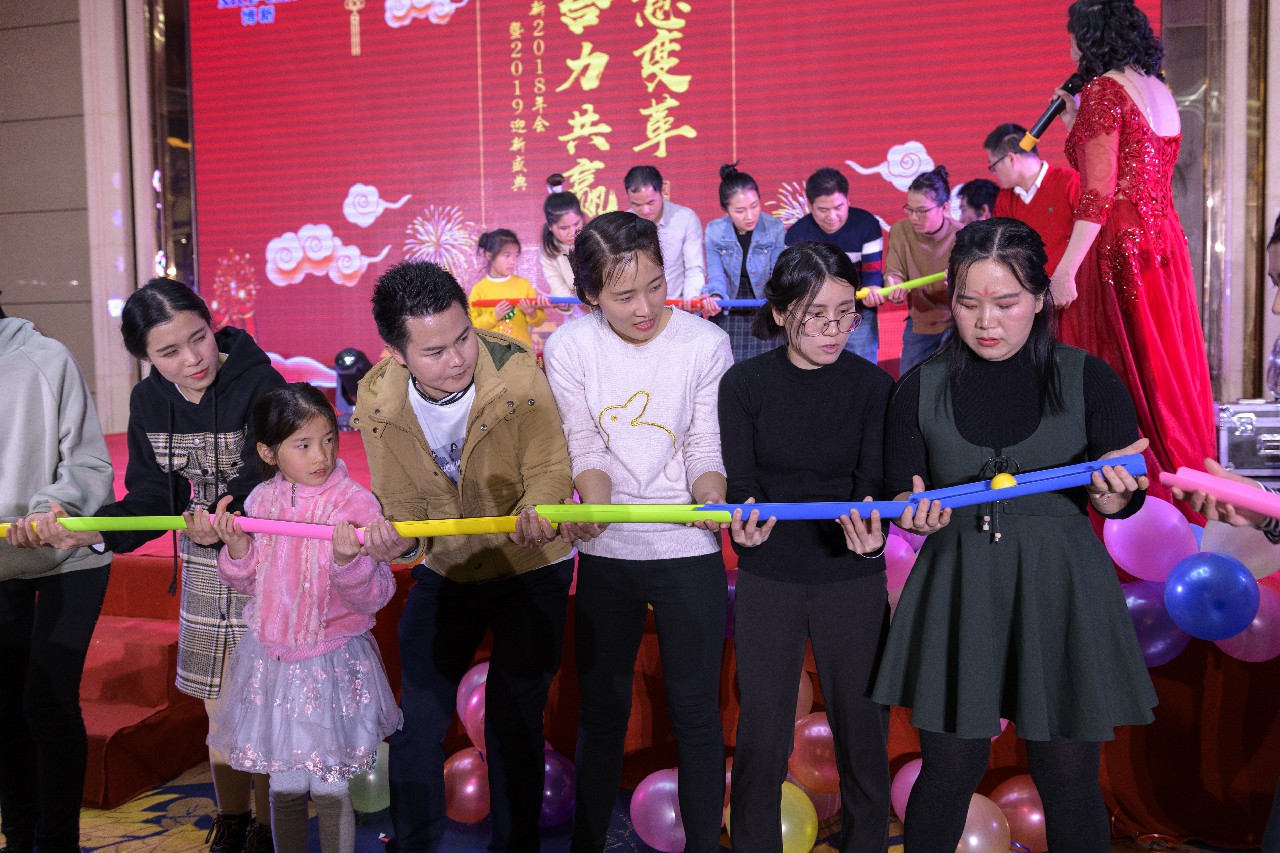 銳意變革，合力共贏&mdash;&mdash;博新2018年會暨2019迎新盛典圓滿落幕